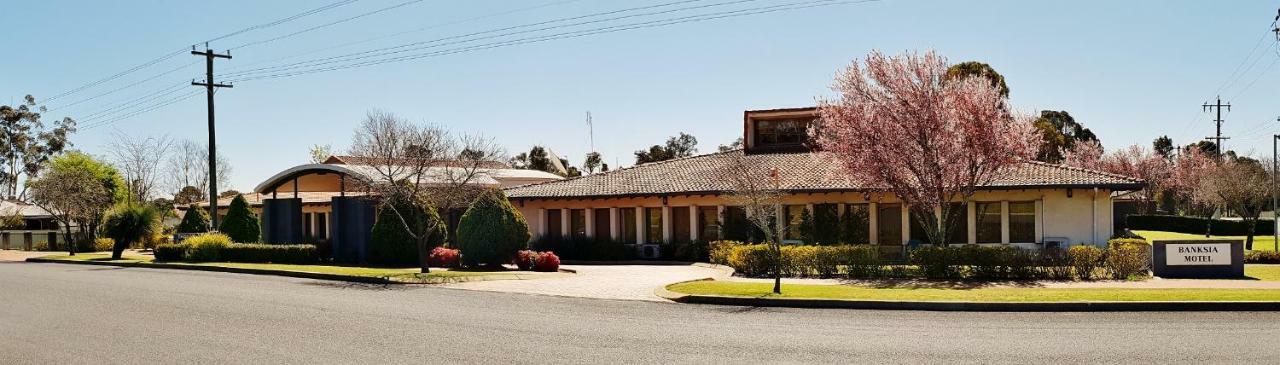 Banksia Motel Collie Exterior foto