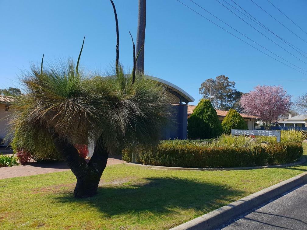 Banksia Motel Collie Exterior foto